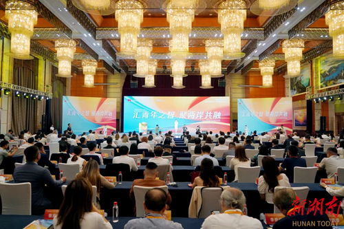 2024海峽兩岸 湖南 青年交流發(fā)展大會在長沙啟幕